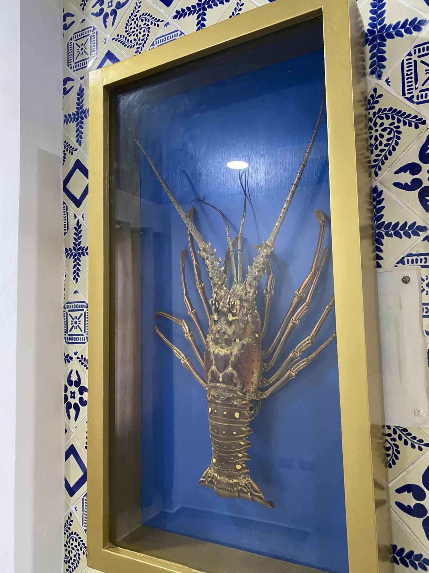Aparthotel Casa Maria Isla Mujeres Zewnętrze zdjęcie